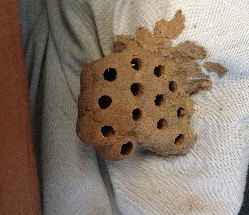 beehouse.JPG