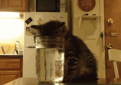 6KgLT0n.gif
