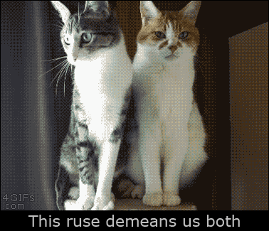 2950017182_75ff2e44.gif