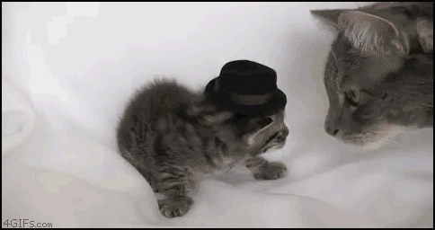 3068276540_9b8e99c3_IMG_1685.GIF