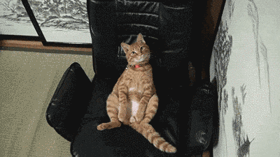 hu_1424109358_6330397898.gif