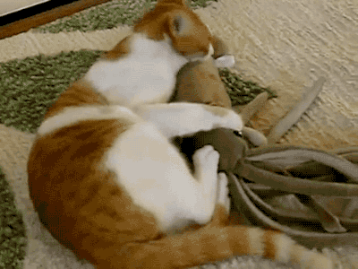 pdswait_3559564_1424111463.16628.gif